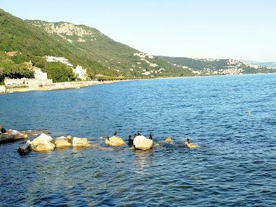 Viaje a Trieste. Los pasos que nos separan + Mileva Einstein Viaje a Trieste. Los pasos que nos separan + Mileva Einstein