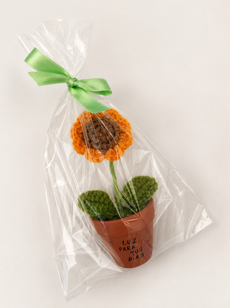 MINI GIRASOL