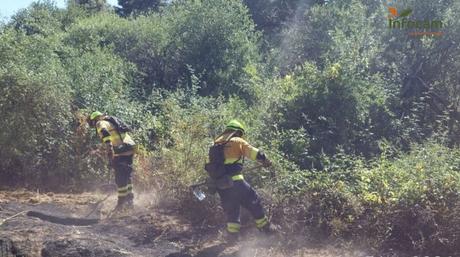 Controlado el incendio declarado en Méntrida (Toledo)