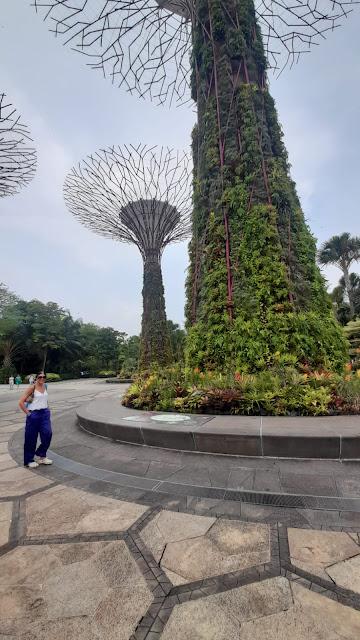 Super Trees en Gardens by the Bay