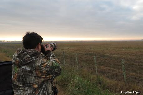 Observando aves por campos de Magdalena