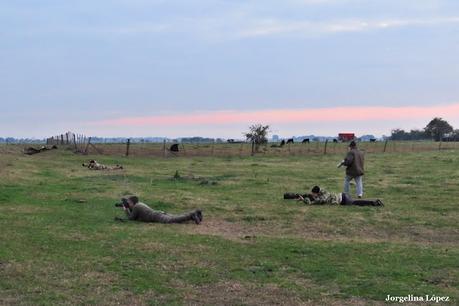 Observando aves por campos de Magdalena