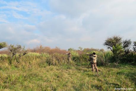 Observando aves por campos de Magdalena