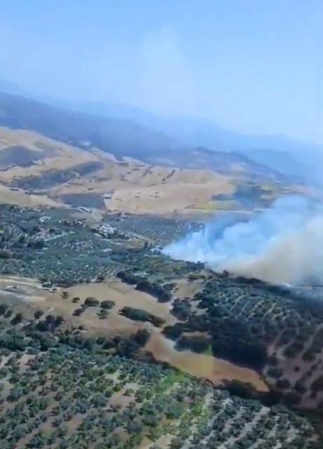 Extinguido el incendio forestal declarado en Antequera