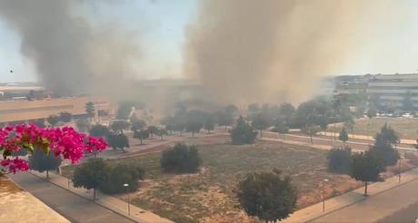 Extinguido el incendio forestal declarado en Antequera Extinguido el incendio forestal declarado en Antequera