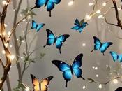 Mariposas cielo