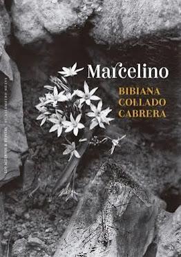 Marcelino Portada del libro de Bibiana Collado Cabrera, editorial Pepitas de Calabaza