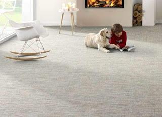 Alfombras para casas con perros Alfombras para casas con perros