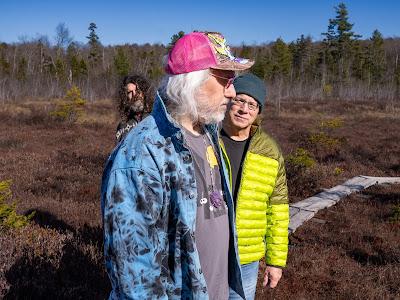 Dinosaur Jr. - Several got away (2026)