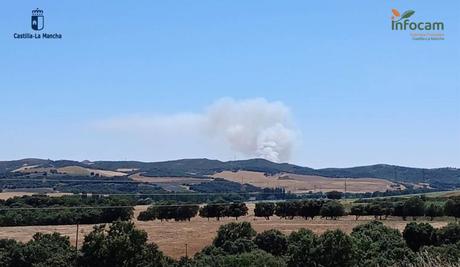 Controlado el incendio forestal entre Robledillo de Mohernando y Malaguilla Controlado el incendio forestal entre Robledillo de Mohernando y Malaguilla