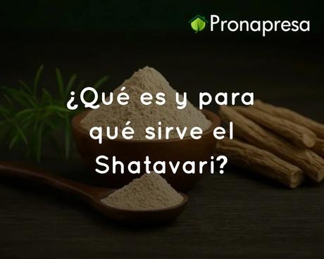 ¿Qué es y para qué sirve el Shatavari? ¿Qué es y para qué sirve el Shatavari?
