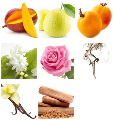 El universo de aromas de los PERFUMES LAROME El universo de aromas de los PERFUMES LAROME