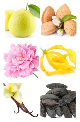 El universo de aromas de los PERFUMES LAROME El universo de aromas de los PERFUMES LAROME