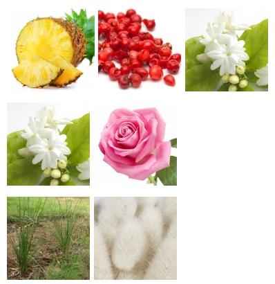 El universo de aromas de los PERFUMES LAROME El universo de aromas de los PERFUMES LAROME