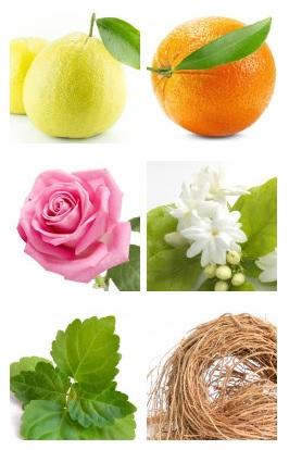 El universo de aromas de los PERFUMES LAROME El universo de aromas de los PERFUMES LAROME