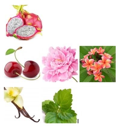 El universo de aromas de los PERFUMES LAROME El universo de aromas de los PERFUMES LAROME