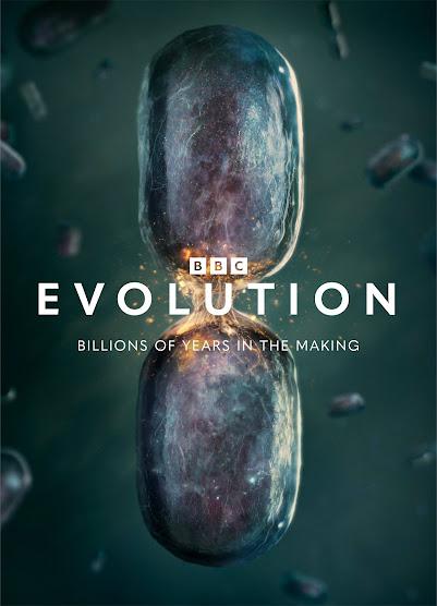 Evolution (2026)