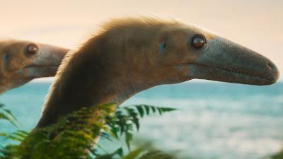 Evolution (2026)