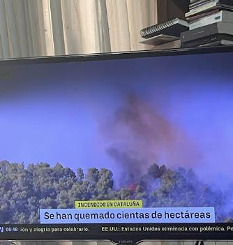 Concordancias