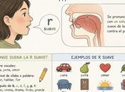 palabras suave (explicado)