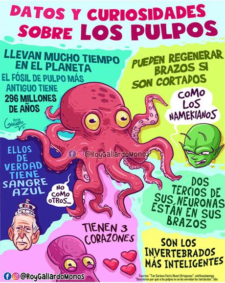 pulpos ilustraciĂłn comic pulpo