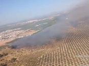 Controlado incendio forestal declarado este pasado viernes Humilladero