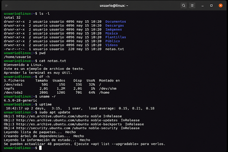 Escritorio moderno con Linux mostrando la terminal y el gestor de archivos en un portátil.