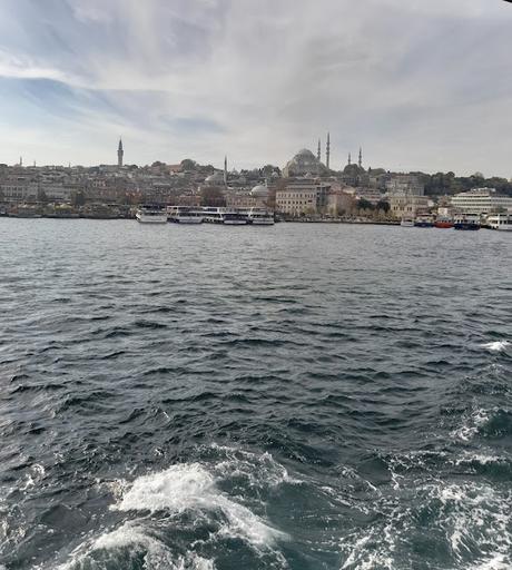 Crucero Bosforo con vistas a Estambul