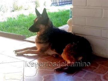Mila una gran guerrera Mila una gran guerrera