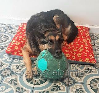 Mila una gran guerrera Mila una gran guerrera