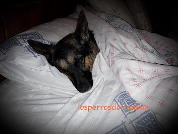 Mila una gran guerrera Mila una gran guerrera