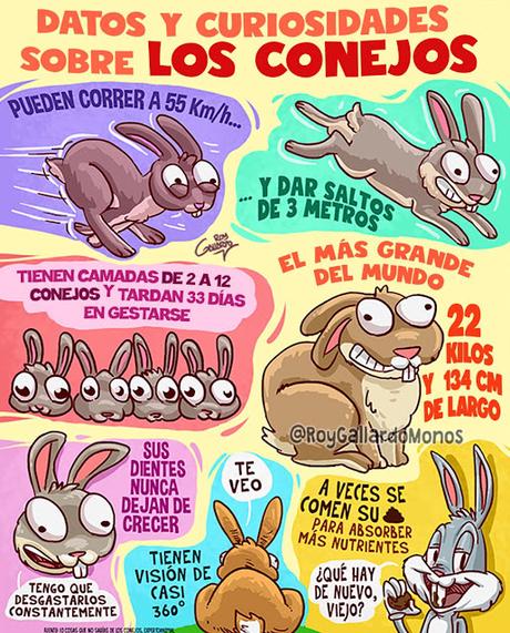 Conejos