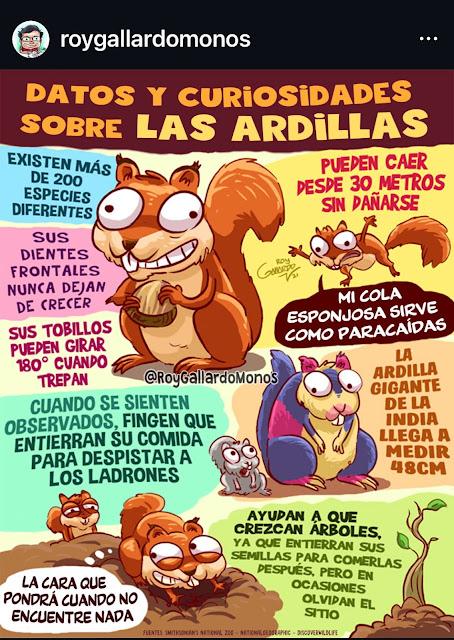 Ardillas