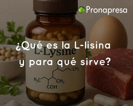 ¿Qué es la L-lisina y para qué sirve? ¿Qué es la L-lisina y para qué sirve?