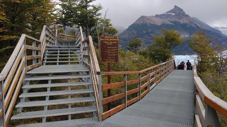 IMG_20230126_172512322.jpg