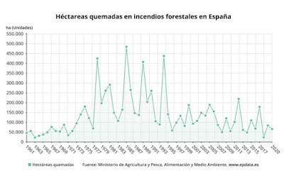 Y llegaron los incendios