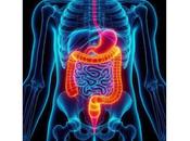 microbioma intestinal determina rapidez envejecemos