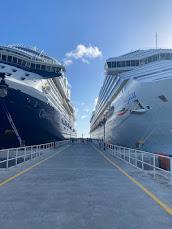 La industria del crucero