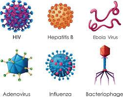 Retrovirus