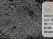 Extinguido incendio declarado este viernes Brazatortas (Ciudad Real)