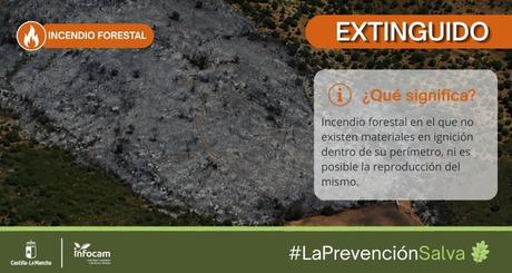 Extinguido el incendio declarado este viernes en Brazatortas (Ciudad Real)
