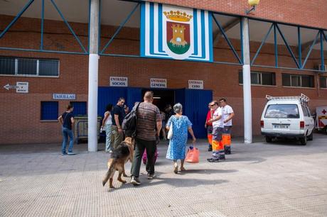 Extinguido el incendio declarado este viernes en Brazatortas (Ciudad Real)