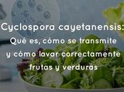 Cyclospora cayetanensis: cómo transmite lavar correctamente frutas verduras