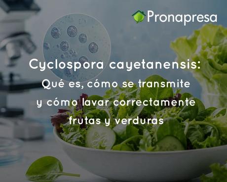 Cyclospora cayetanensis: Qué es, cómo se transmite y cómo lavar correctamente frutas y verduras