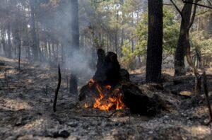 Extinguido el incendio en un establecimiento de Albacete que deja daños materiales