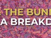Echo Bunnymen this breakdown?"