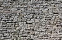El muro