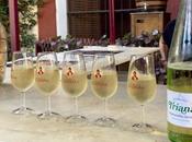 bodegas refrescan rejuvenecen vinos verano