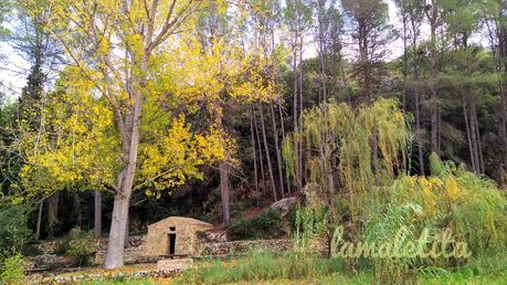 El barranc de l'Encantada