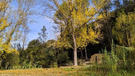 El barranc de l'Encantada